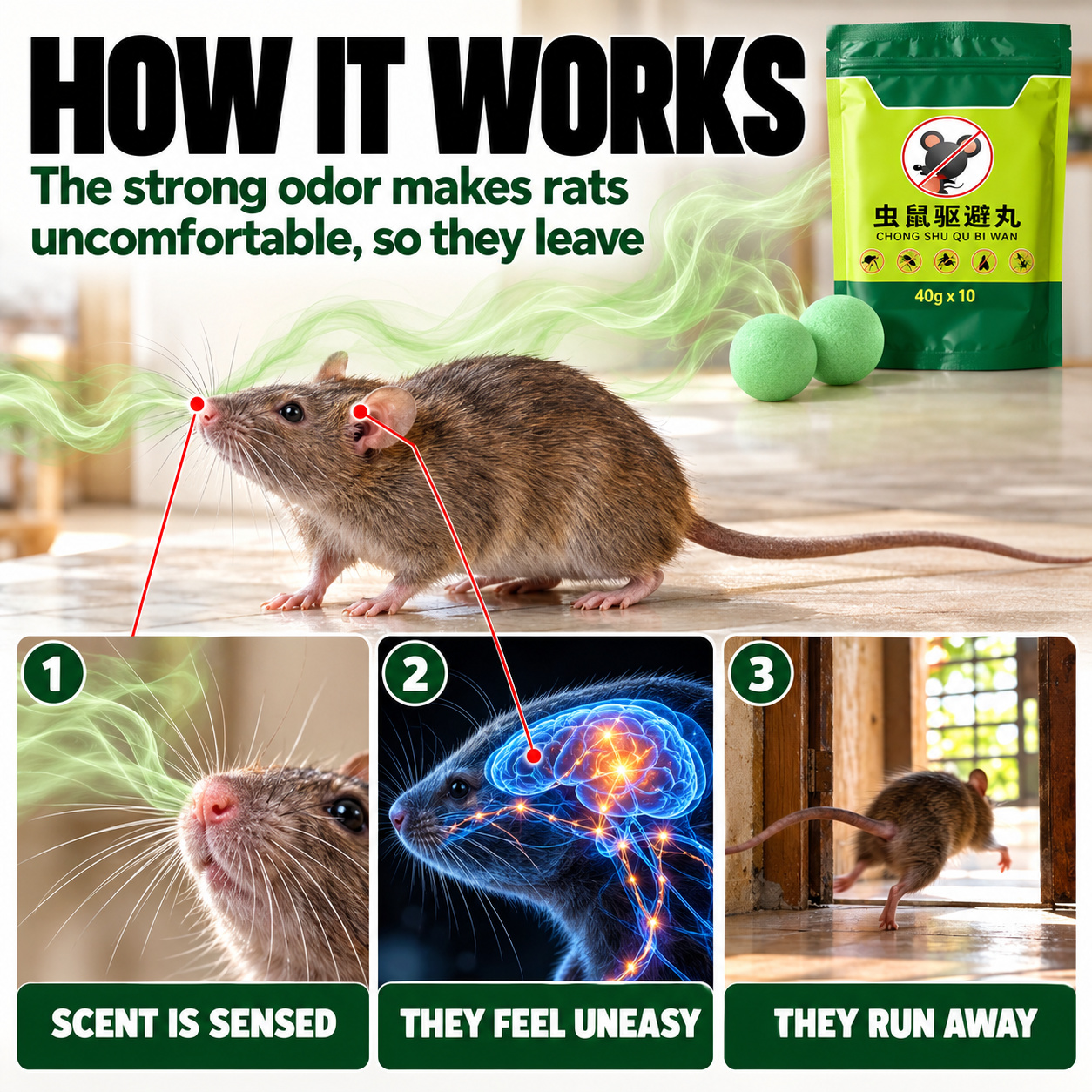 How the repellant smell makes rats leave